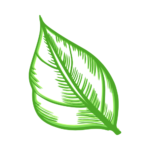 Tu Hogar Verde